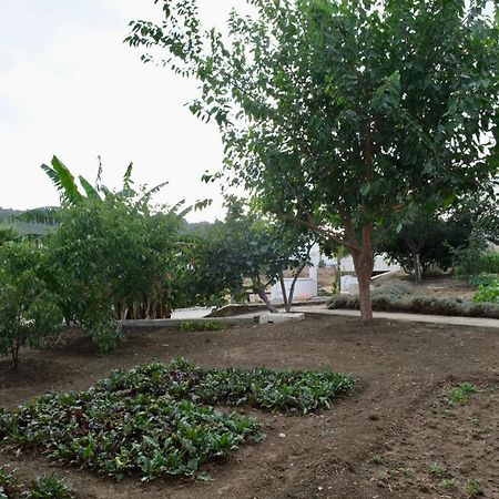 Jnane Yemma Hotel Tangier Bagian luar foto