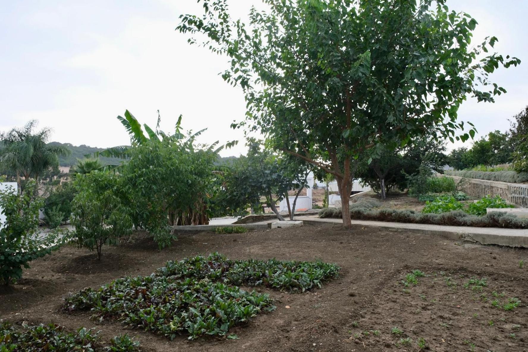 Jnane Yemma Hotel Tangier Bagian luar foto